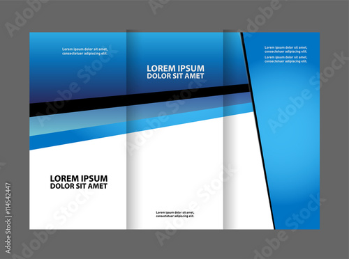 brochure design template vector tri-fold
