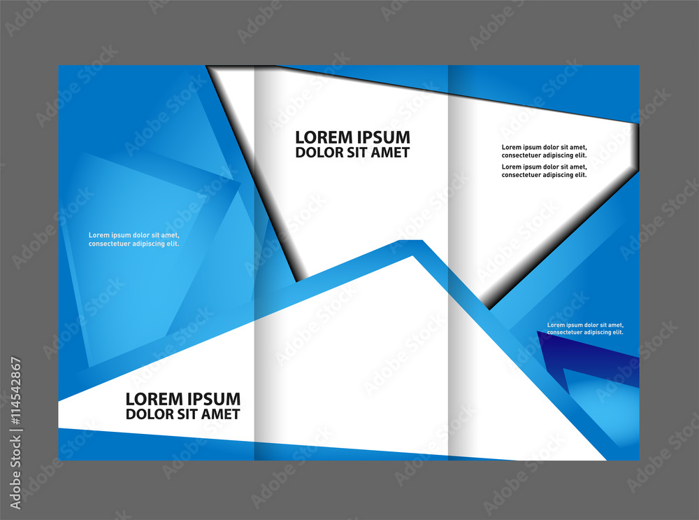 Vector empty tri-fold brochure print template design, trifold bright booklet or flyer
Vector empty tri-fold brochure print template design, trifold bright booklet or flyer