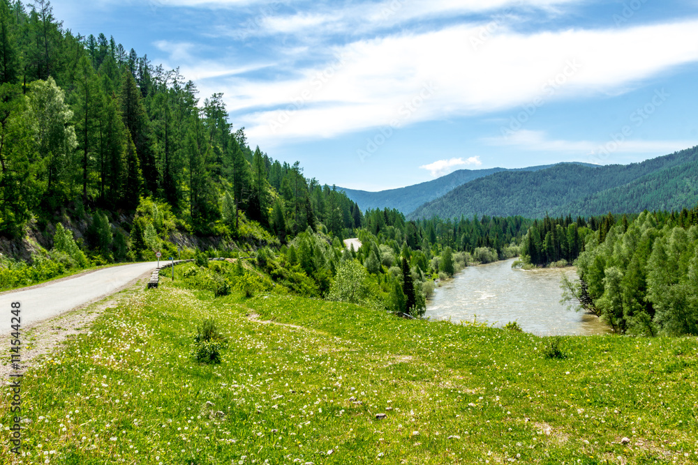 Fototapeta premium In the Altai Mountains