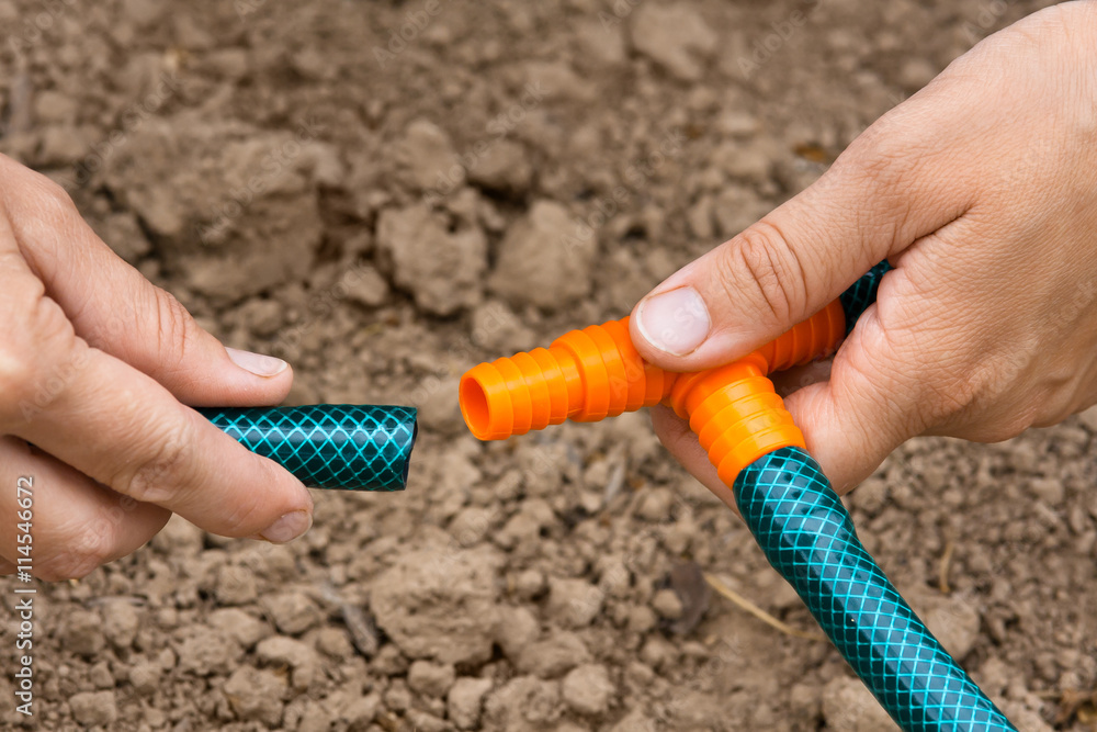 hands of gardener connecting garden hoses, closeup hands of gardener connecting garden hoses, closeup