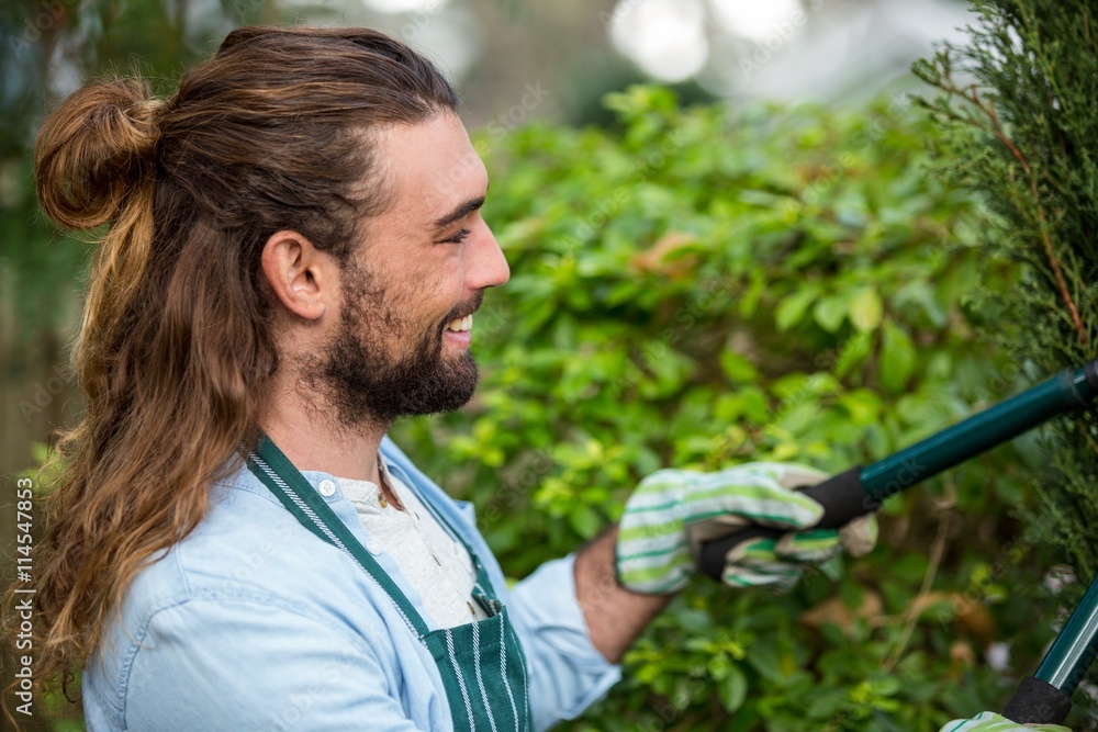 gardener using hedge clippers at communicty garden gardener using hedge clippers at communicty garden