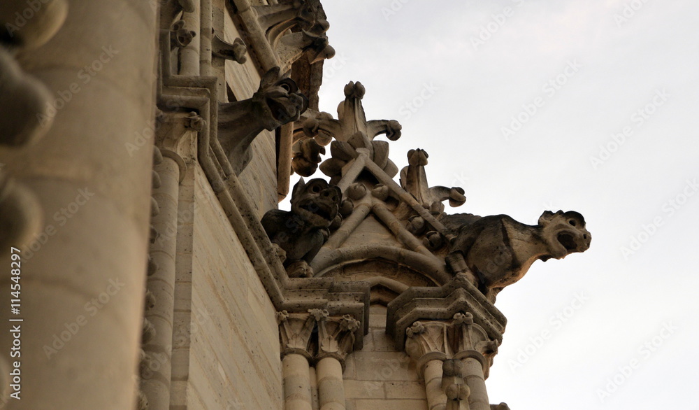 Obraz premium CATEDRAL DE NOTRE DAME