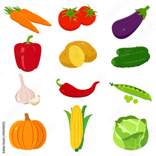 Set of colorful cartoon vegetables icons isolated on white. Vector