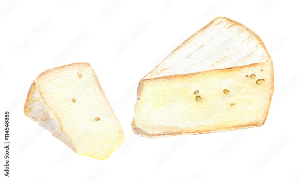 Cheese brie slice. Watercolor