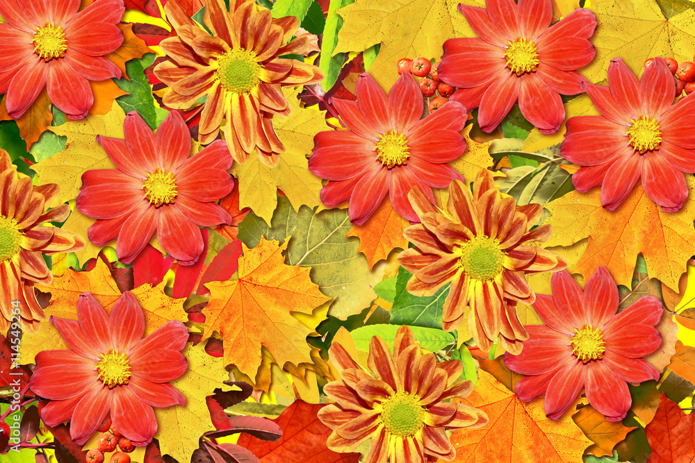 abstract background of autumn leaves abstract background of autumn leaves