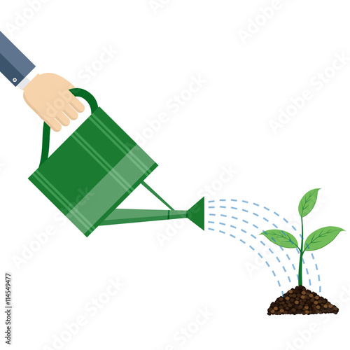 Hand holding watering can watering plant.