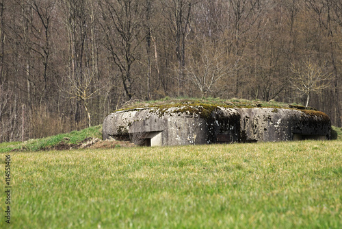 French bunker ruin near Langensoultzbach, Vosges, France. It was built before WWII as part of the Maginot Line