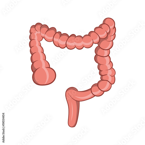 Intestine icon, cartoon style