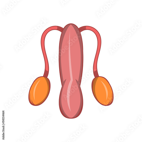 Male sexual organ icon, cartoon style