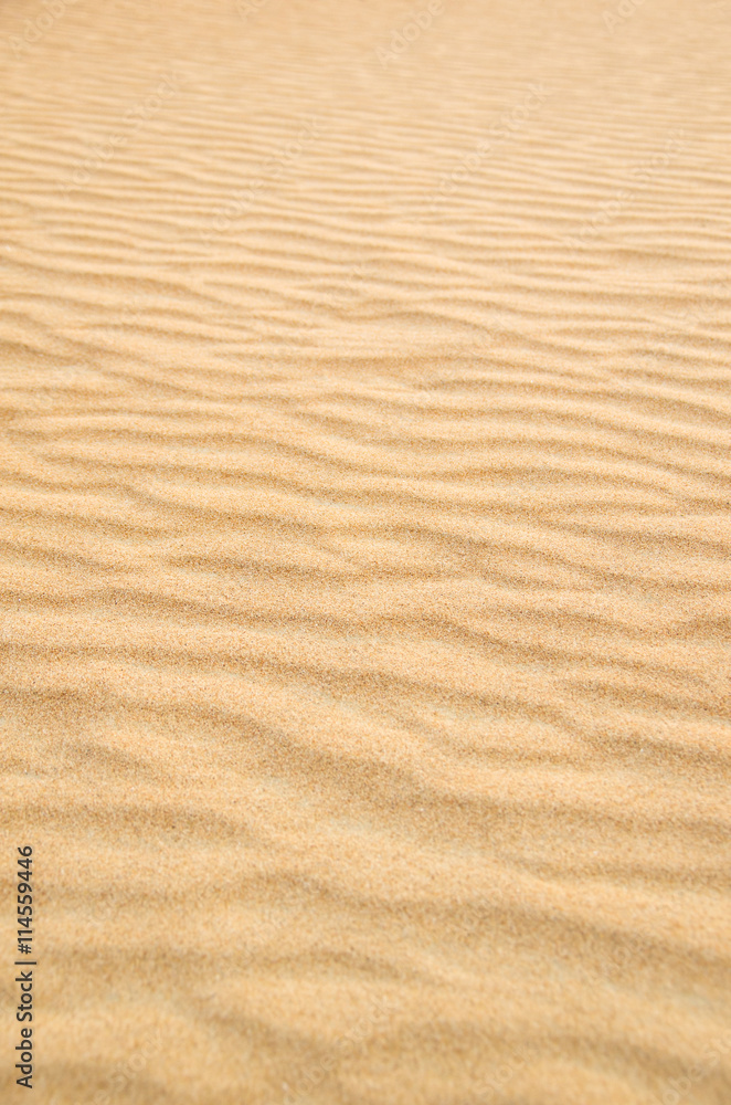 desert desert