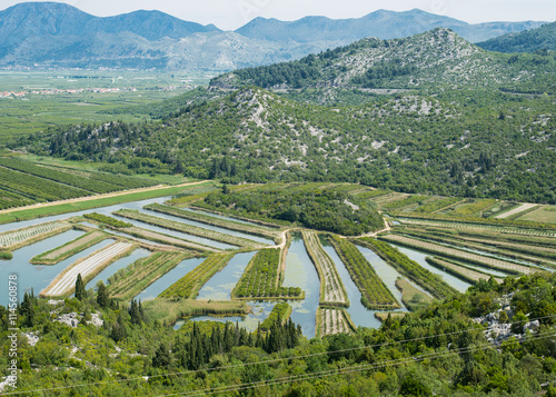 tangerines seen from high