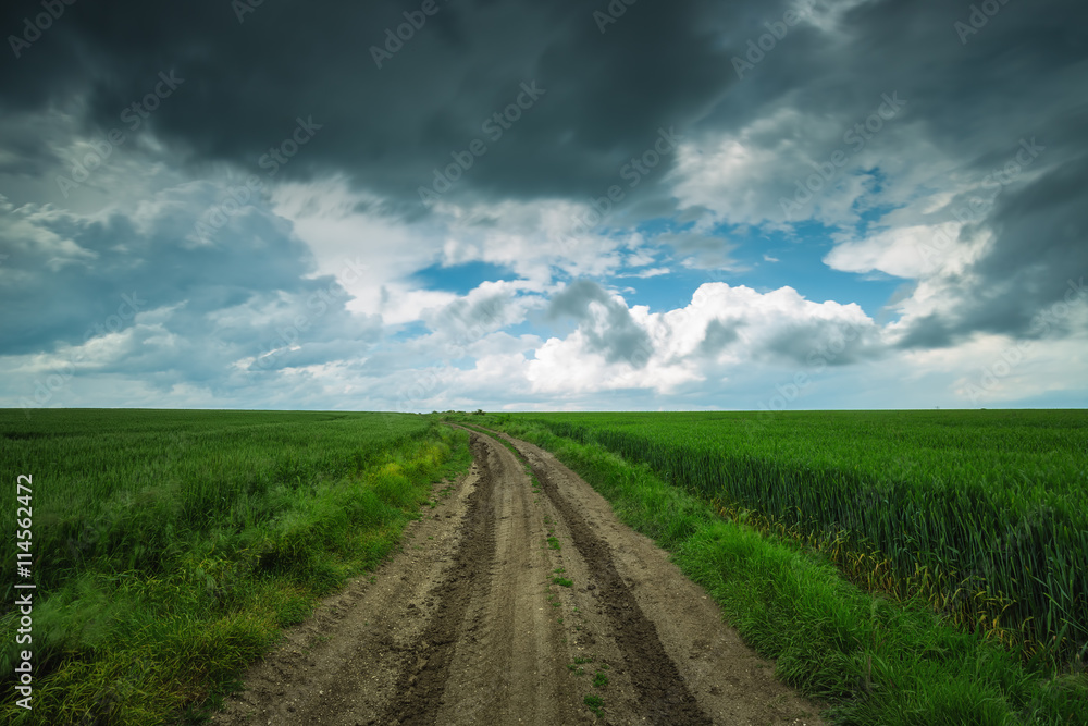 Green field and cloudy sky, long exposure Green field and cloudy sky, long exposure