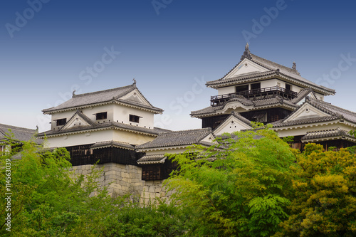Matsuyama castle in Japan