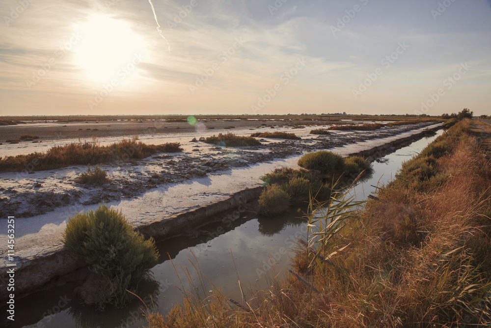 Sunset in the Camargue national park. Rhone Delta, Provence, France