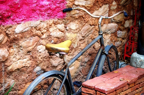 Bicycle in an Alley
