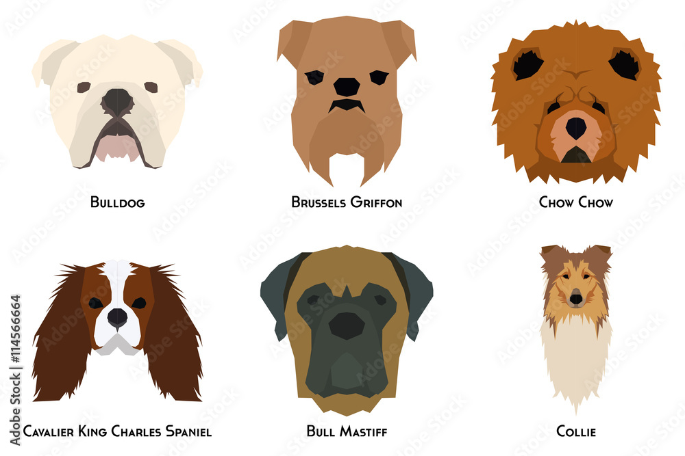 Set of dogs
