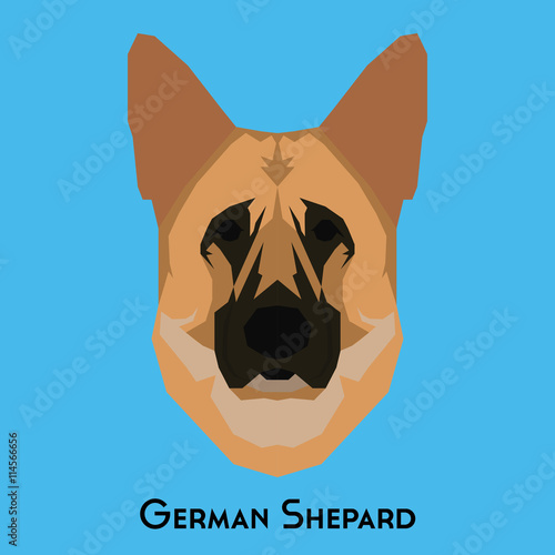 Isolated dog