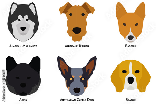 Set of dogs