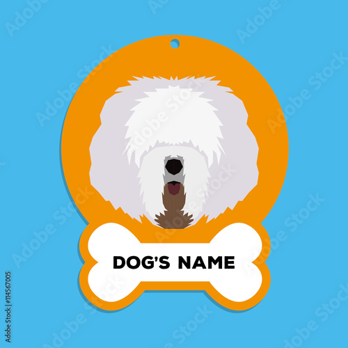 Isolated dog tag