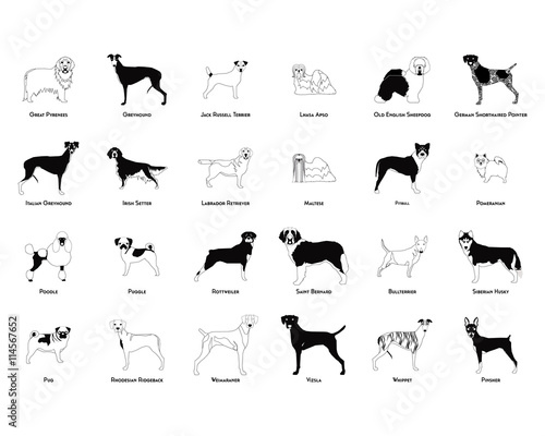 Set of dog silhouettes