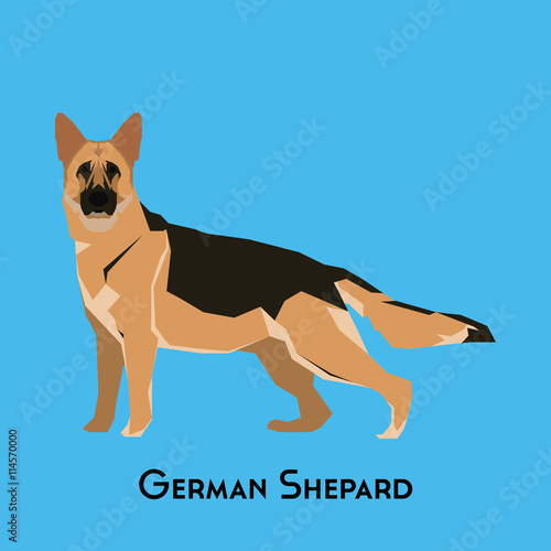 Isolated dog