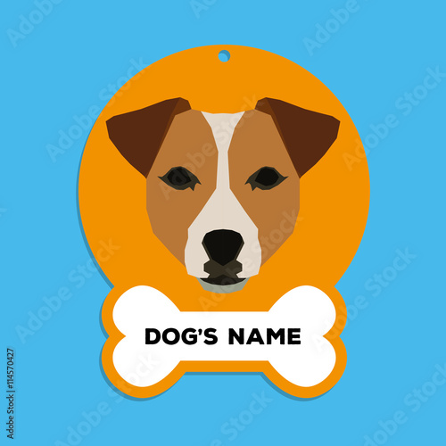 Isolated dog tag