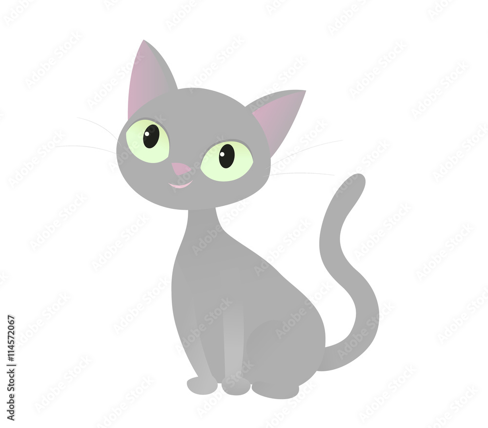 Sitting gray cat Sitting gray cat