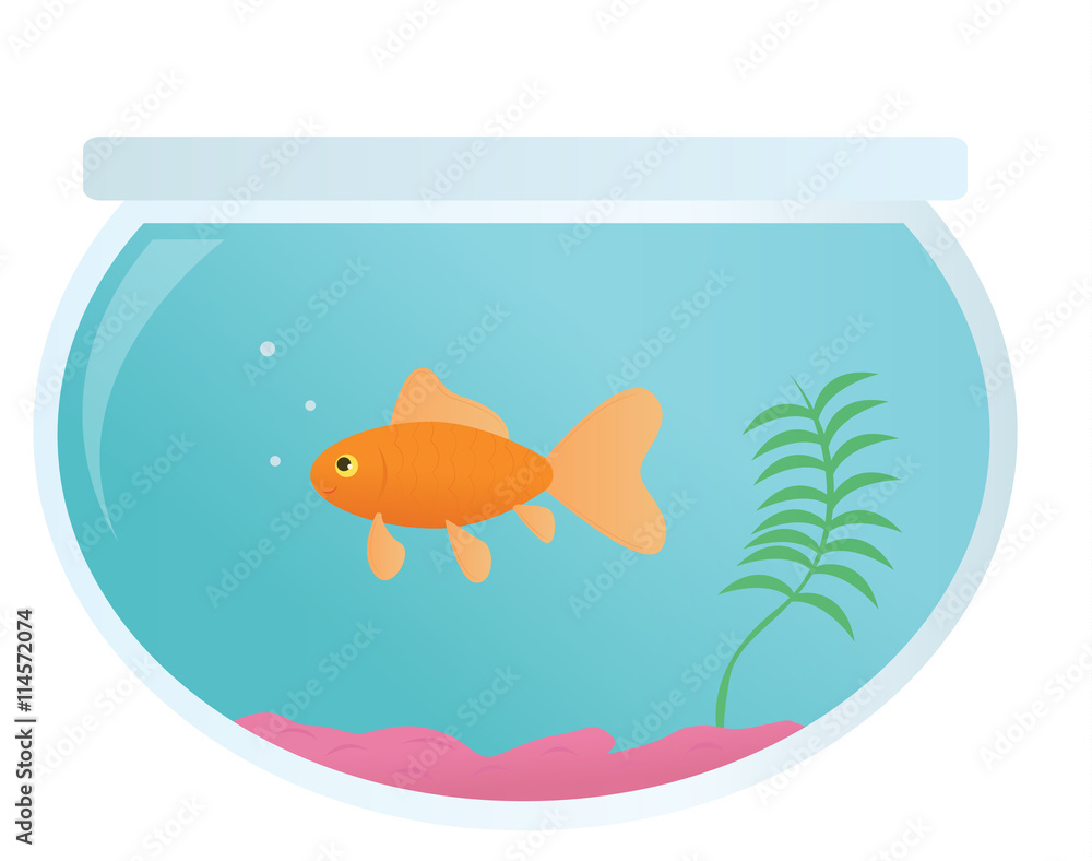 Goldfish in a fish bowl