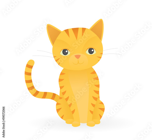 Cute orange cat