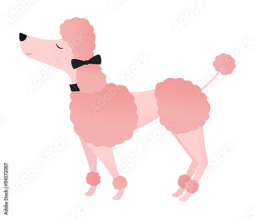 Posh pink poodle