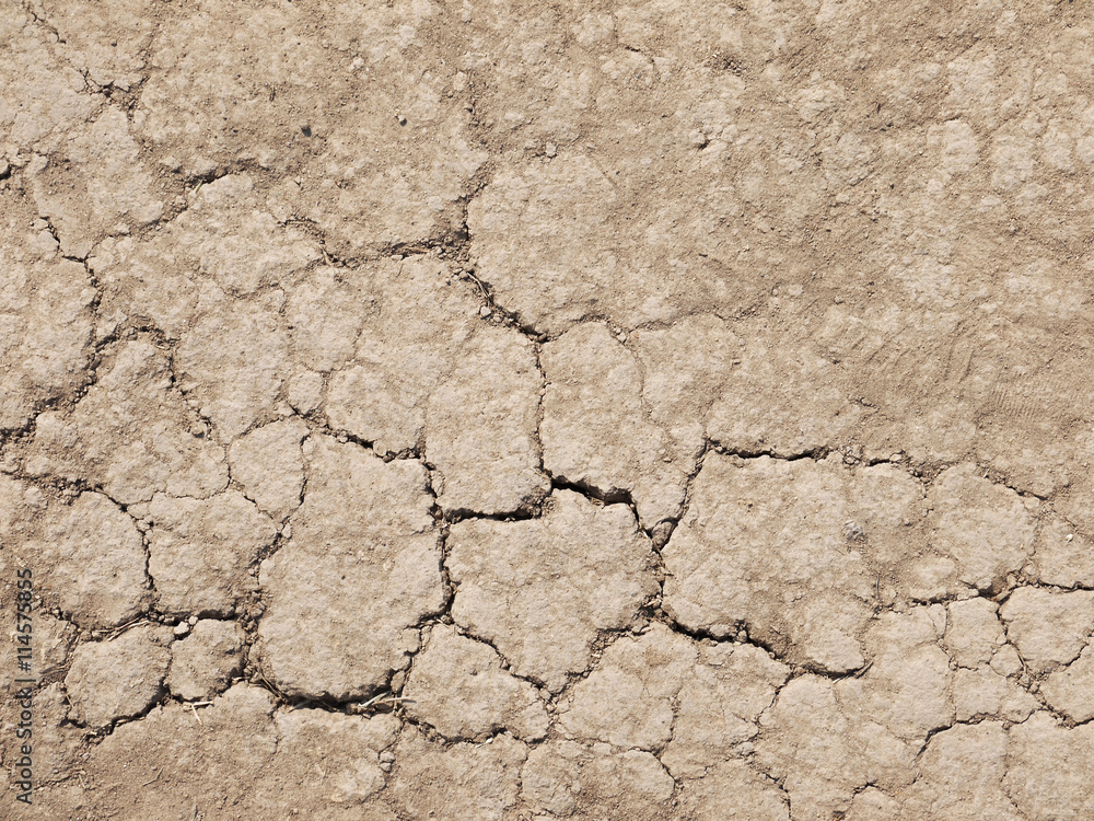 Fototapeta premium crack in the ground