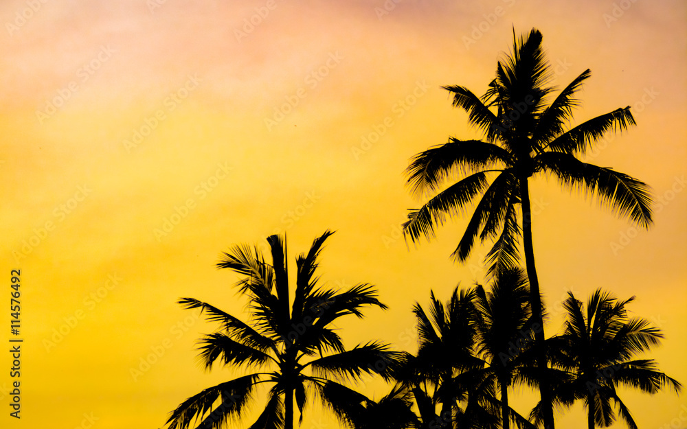 Palm Trees silhouetted against a tropical sunset in Bali, Indomesia.