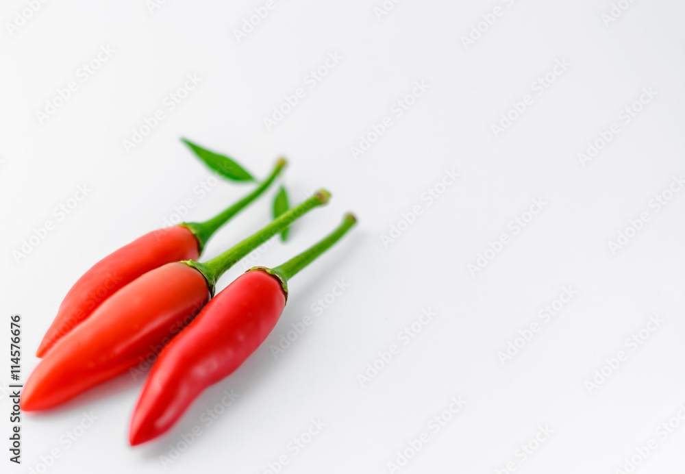 Red chilies on white background with copy space.