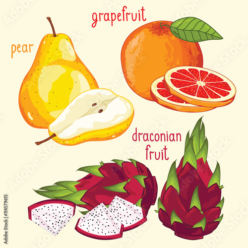 Set of fruit mix vector isolated. Healthy eat. Dragon fruit, pear and grapefruit fruit. Natural organic food. Ingredients for a vegetarian meal. Sweet and ripe summer fruit.