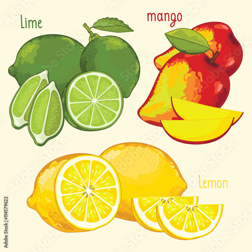 Set of fruit mix vector isolated. Healthy eat. Lime, mango and lemon fruit. Natural organic food. Ingredients for a vegetarian meal. Sweet and ripe tropical summer fruit.