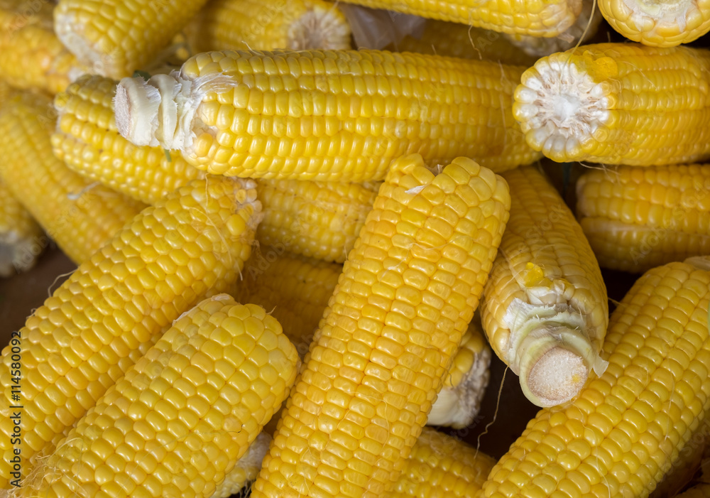 Raw corns sold at local farm market Raw corns sold at local farm market