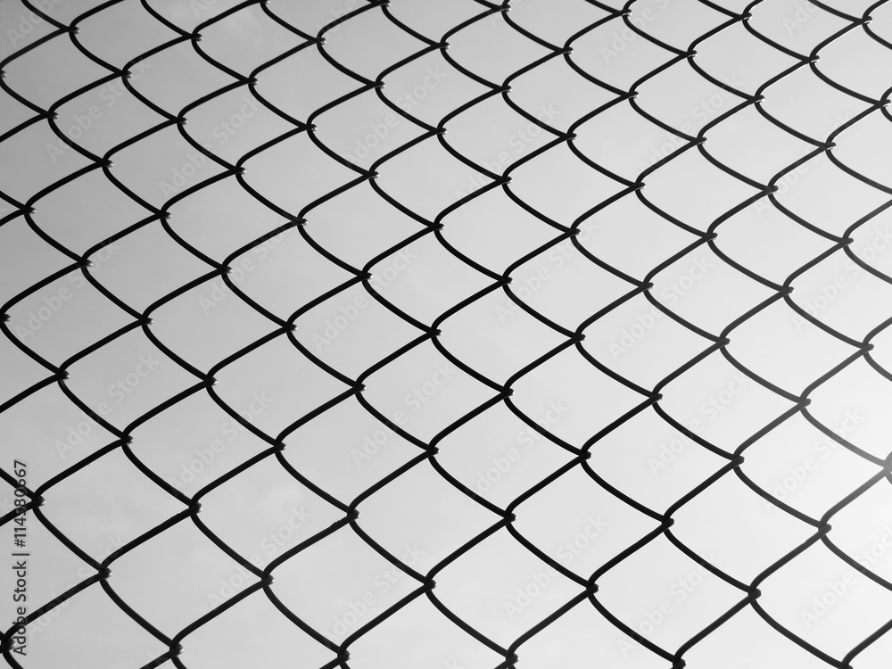 wire mesh wire mesh