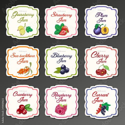 Set of isolated labels for jam from berries