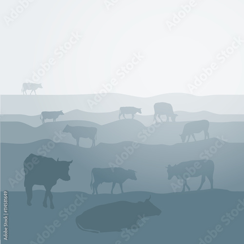 Cows graze in the field, landscape, sky, grass, pasture. Blue, gray silhouette background. Vector