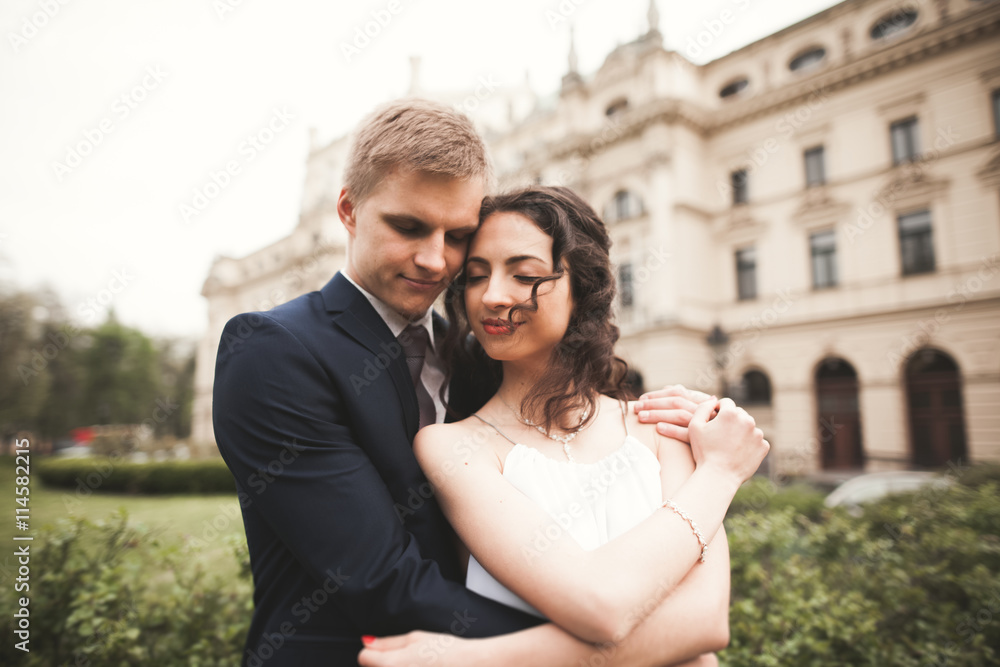 Fototapeta premium Beautiful wedding couple, bride, groom kissing and hugging against the background of theater