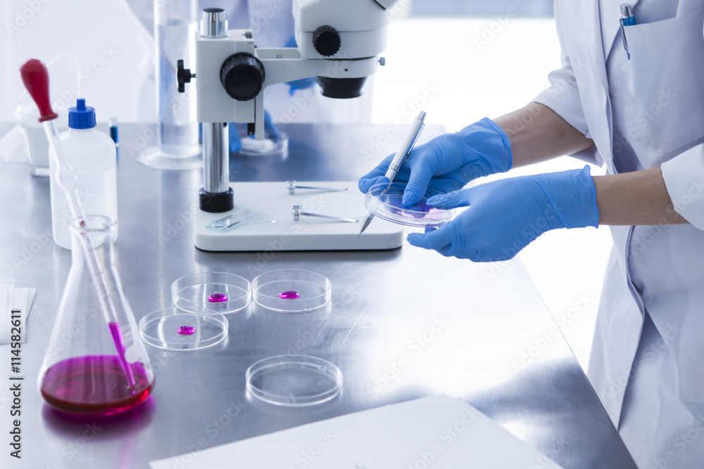 Researcher has a petri dish Researcher has a petri dish