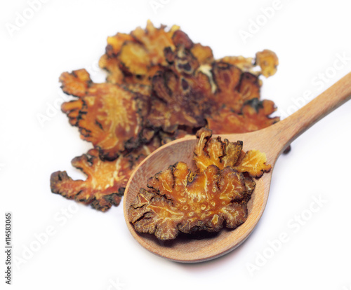sliced szechuan lovage root chinese herbal medicine on wooden spoon over white background. Chuan xiong ( Ligusticum striatum )