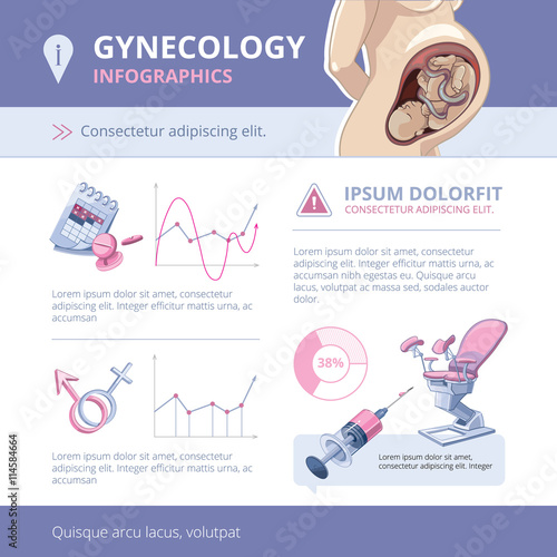 Vector Chart Infographic Elements about Pregnancy