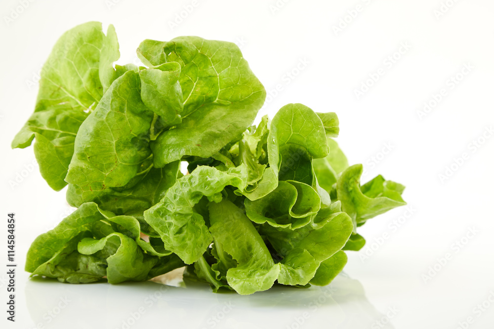 lettuce lettuce
