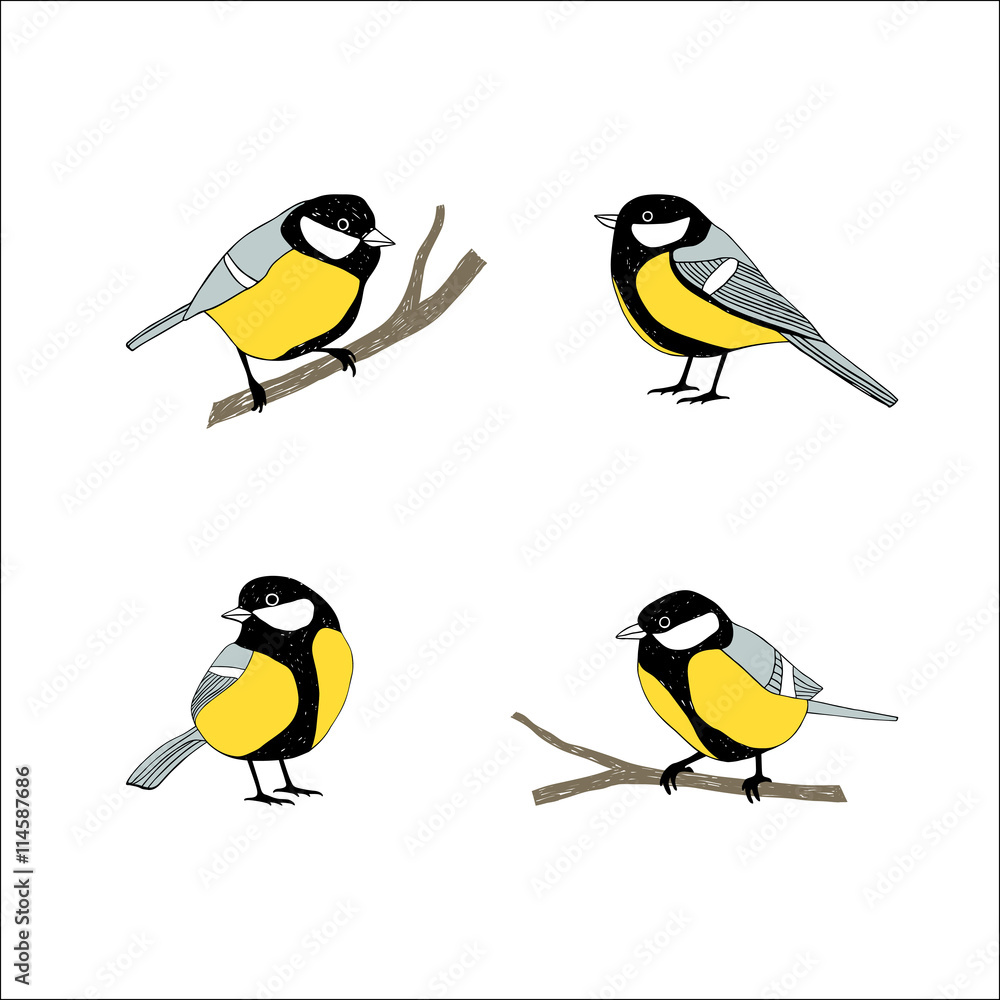 Obraz premium Birds sketch set. Tomtit.