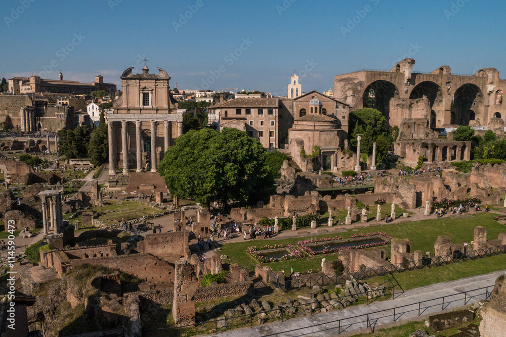 Blick vom Palatin auf das Forum Romanum in Rom mit Maxentiusbasilika