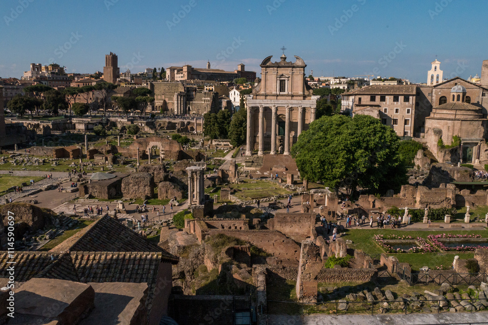 Blick vom Palatin auf das Forum Romanum in Rom mit Tempel des Antonius Pius und der Faustina