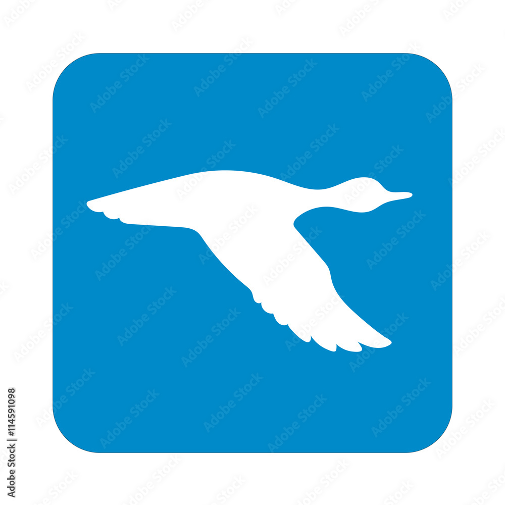 Obraz premium Vector silhouette flying duck. Vector illustration