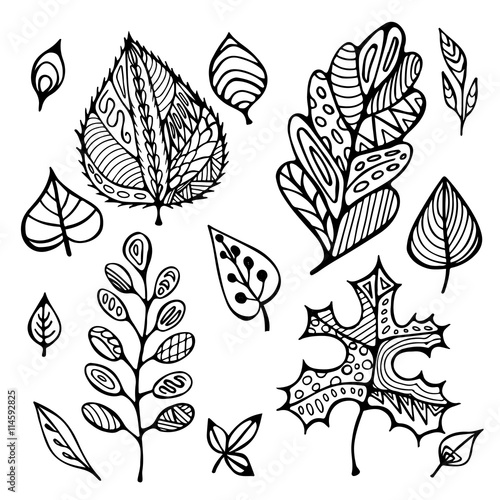 stock vector hand drawing set of leaf. doodle pattern