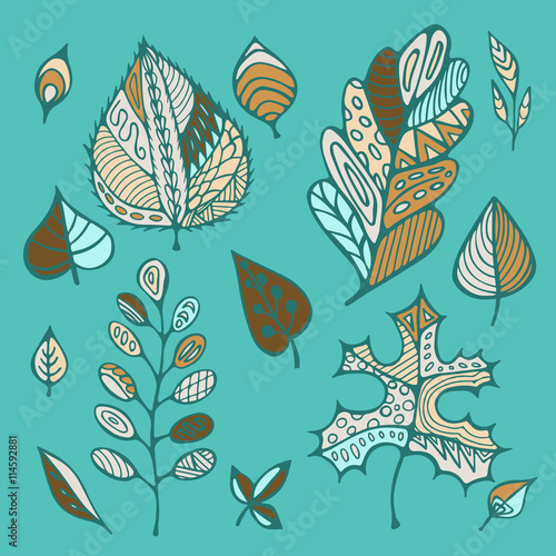 stock vector hand drawing set of leaf. doodle pattern